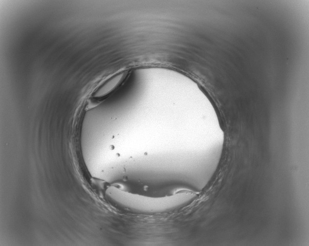 X0000065950193200603311755