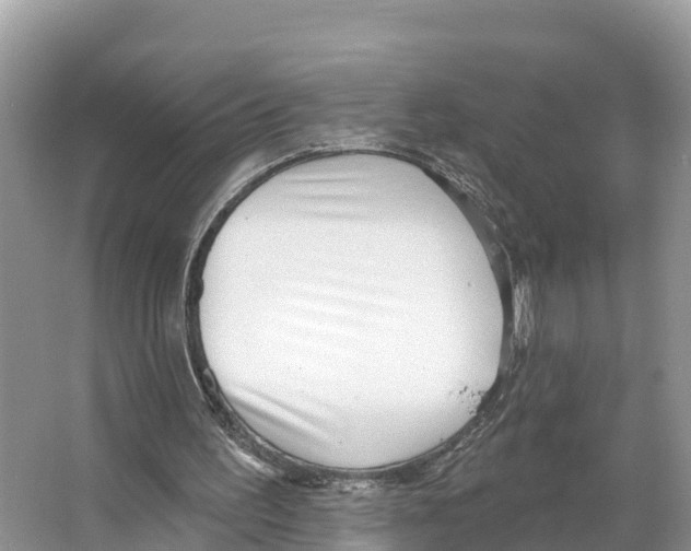 X0000065950195200603311755