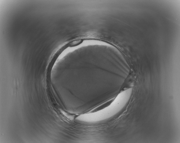 X0000065950200200603311754