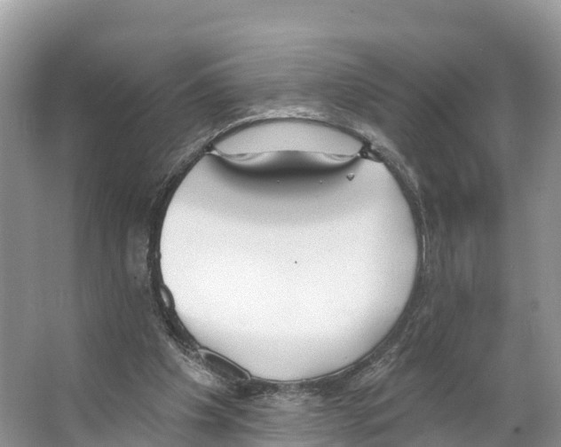 X0000065950201200603311754
