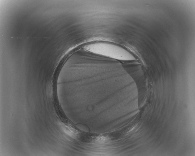 X0000065950204200603311754