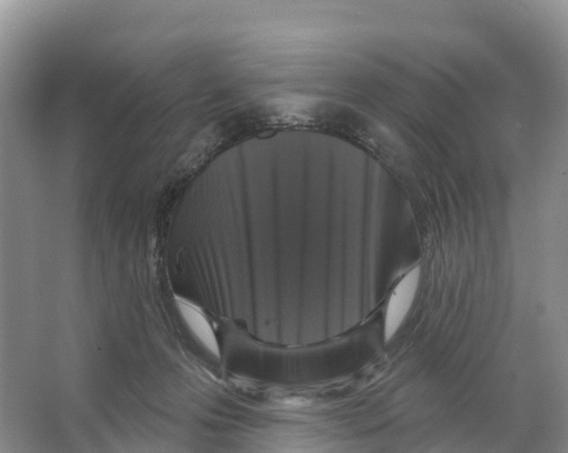 X0000065950223200603311754