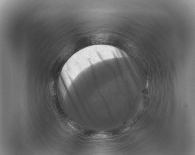 X0000065950224200603311754