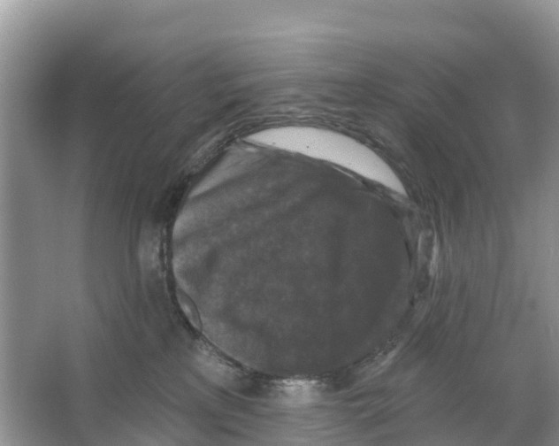 X0000065950233200603311754