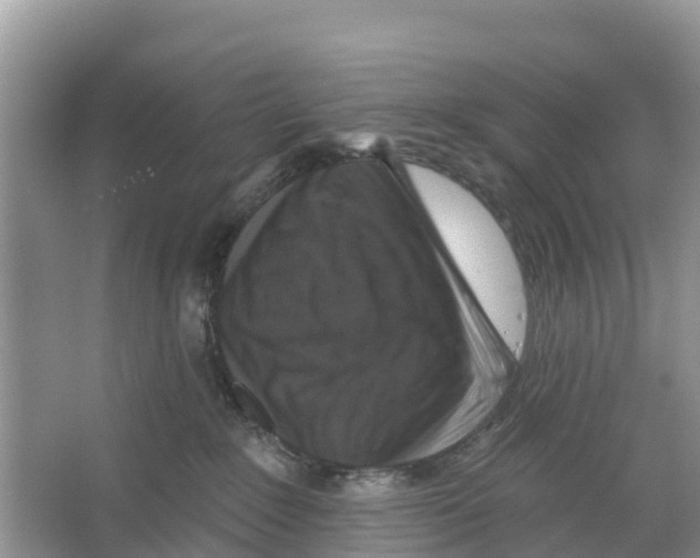 X0000065950235200603311754