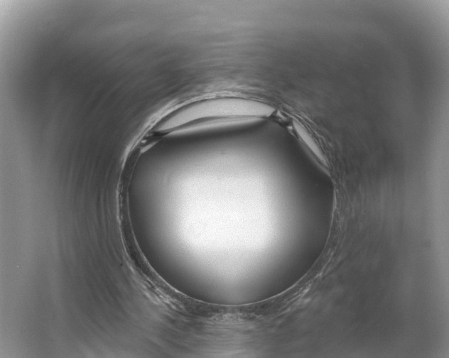 X0000065950244200603311753
