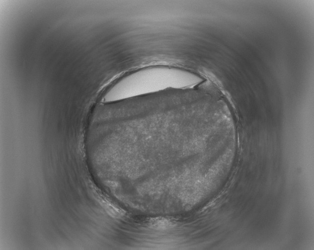 X0000065950249200603311753