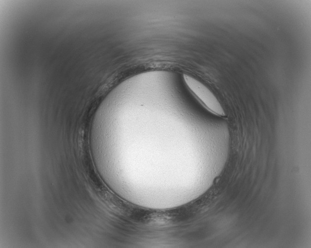 X0000065950263200603311753