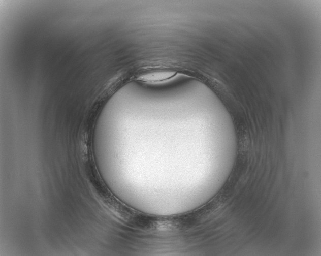 X0000065950264200603311753