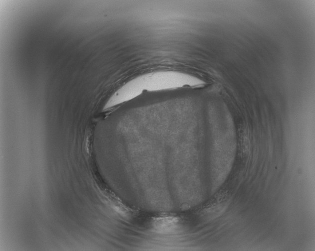 X0000065950266200603311753
