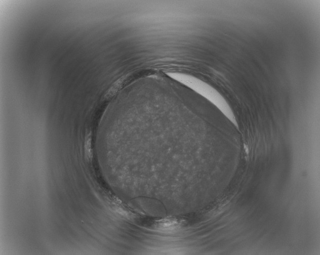 X0000065950267200603311753