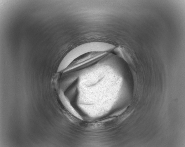 X0000065950288200603311754