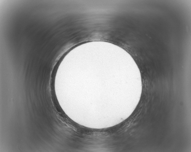 X0000065950292200603311753