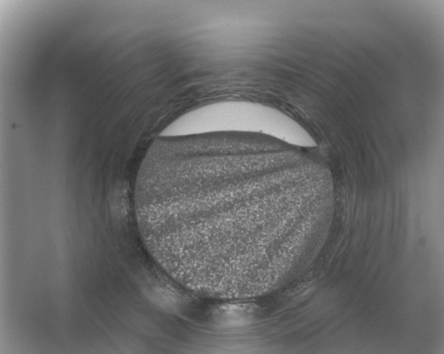 X0000065950323200603311752