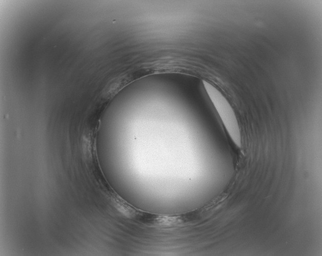 X0000065950333200603311752
