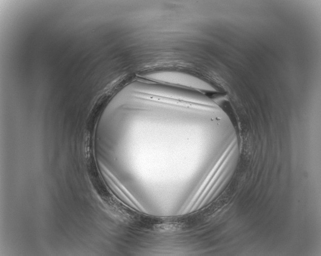 X0000065950356200603311752