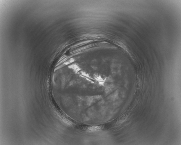 X0000065950357200603311752