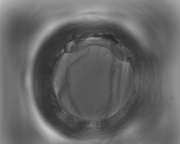X0000065950383200603311752