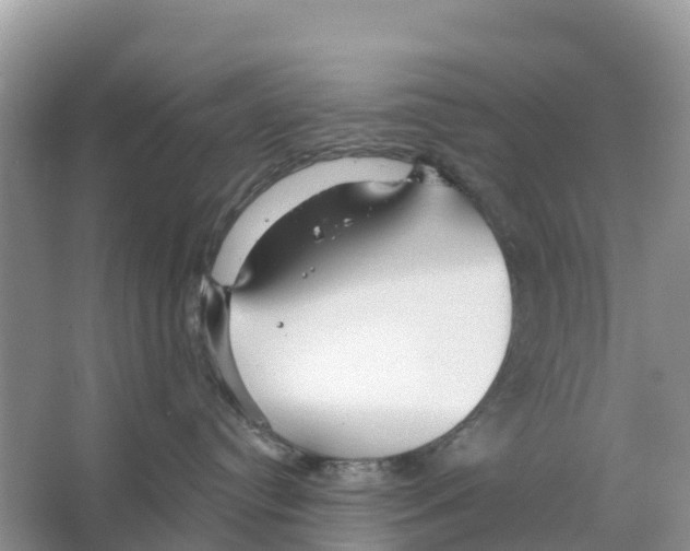 X0000065950384200603311752