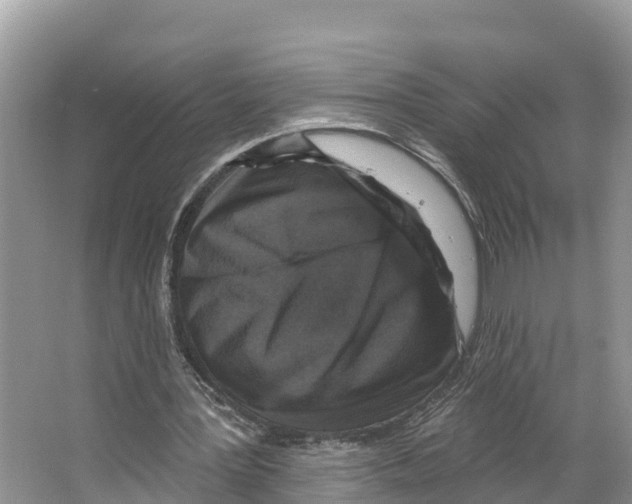 X0000065950387200603311751