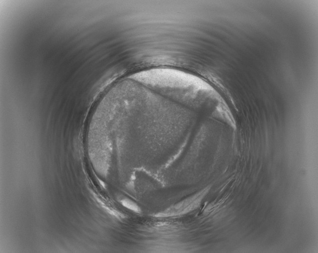 X0000065950390200603311751