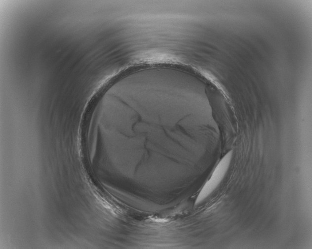 X0000065950391200603311751