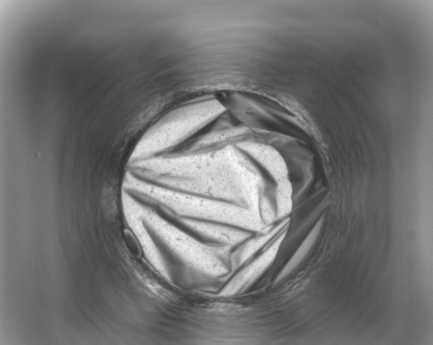 X0000065950393200603311751