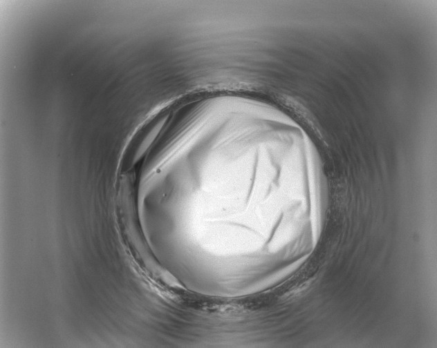 X0000065950395200603311751