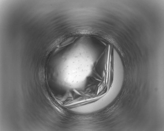X0000065950397200603311751