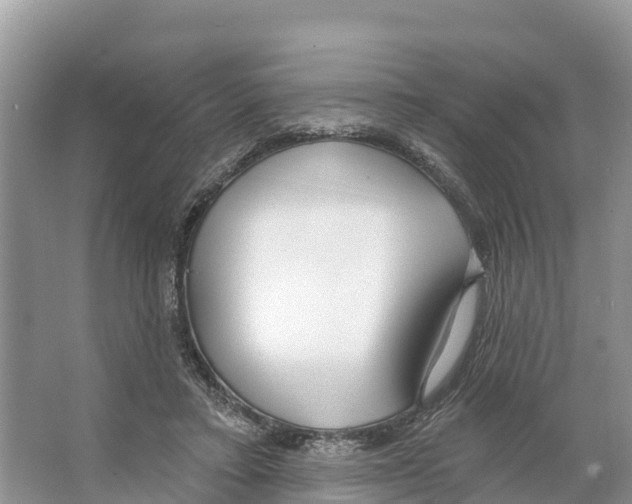 X0000065950403200603311751