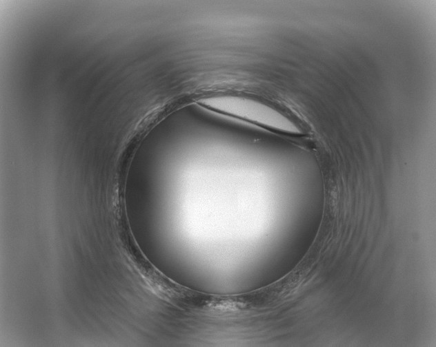 X0000065950407200603311751