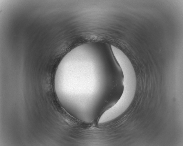 X0000065950416200603311751
