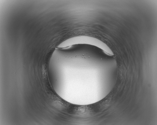 X0000065950420200603311751