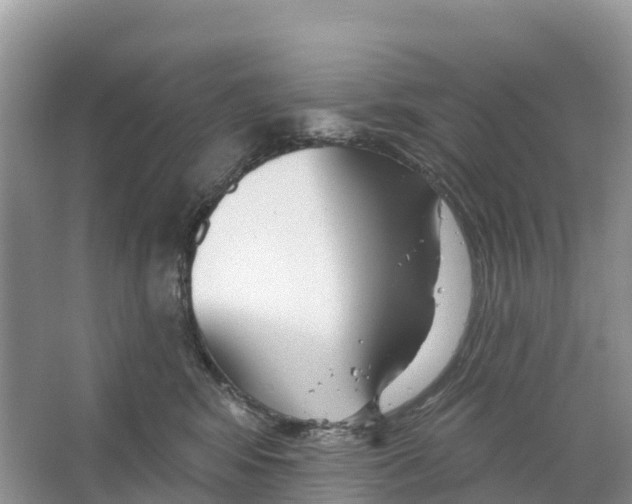 X0000065950424200603311751