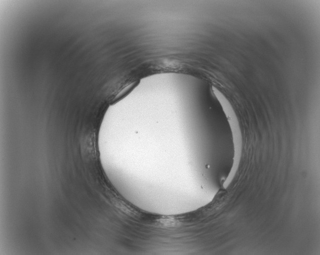 X0000065950425200603311751