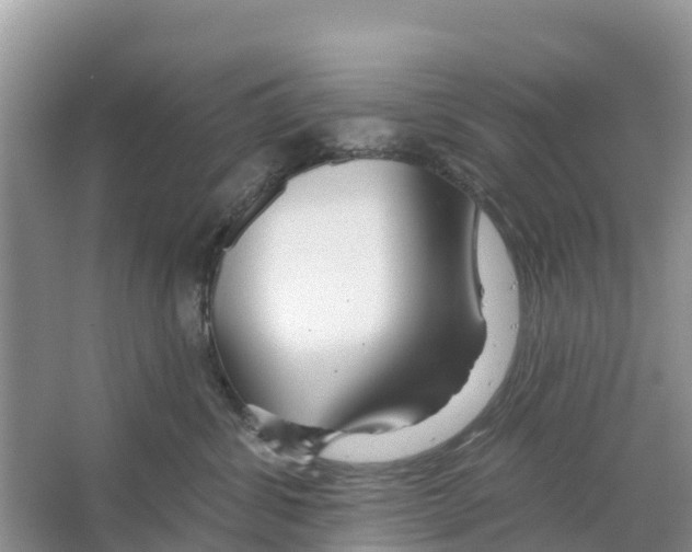 X0000065950428200603311751