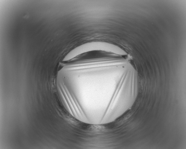 X0000065950429200603311751