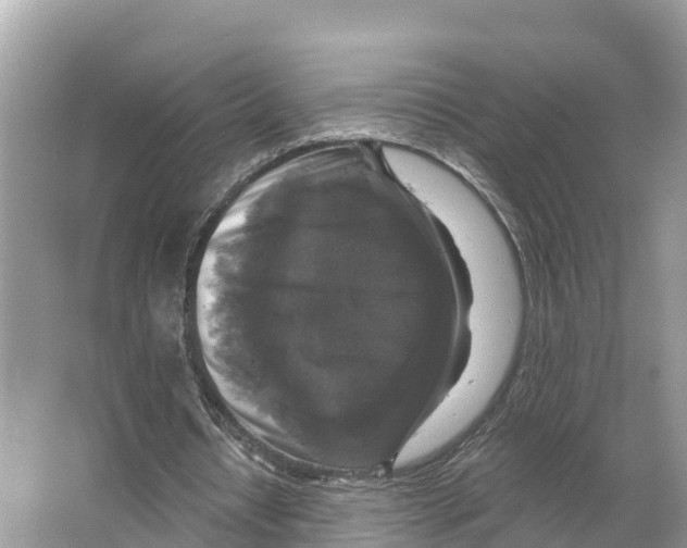X0000065950434200603311750