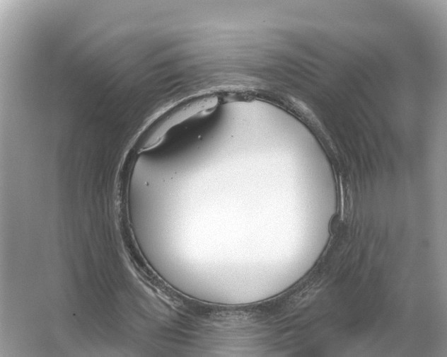X0000065950435200603311750