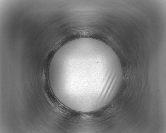 X0000065950456200603311750