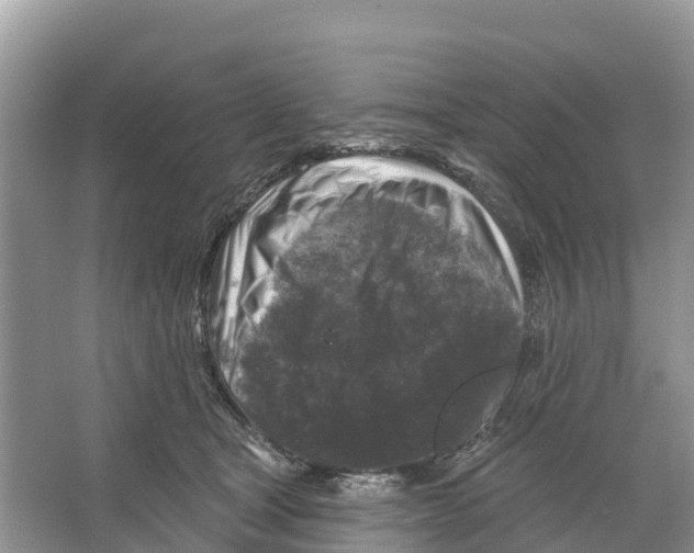 X0000065950465200603311750