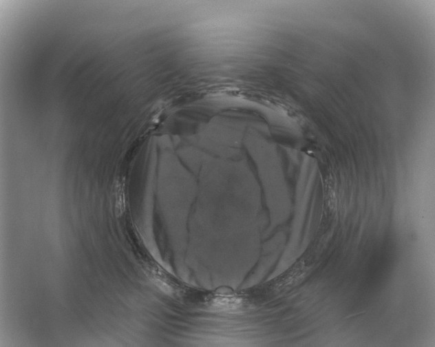 X0000065950471200603311750