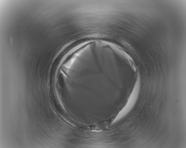 X0000065950484200603311750