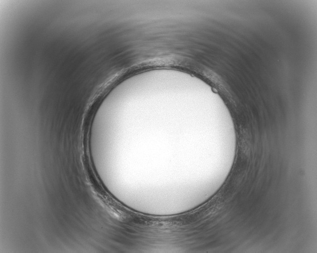 X0000065950486200603311750