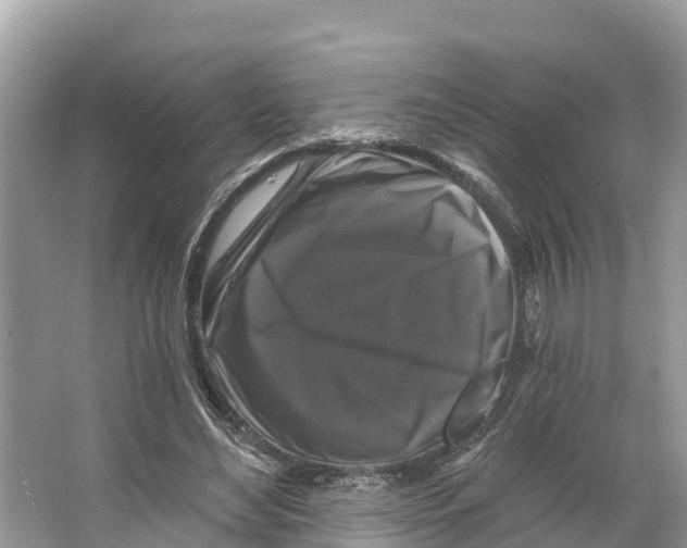 X0000065950492200603311750