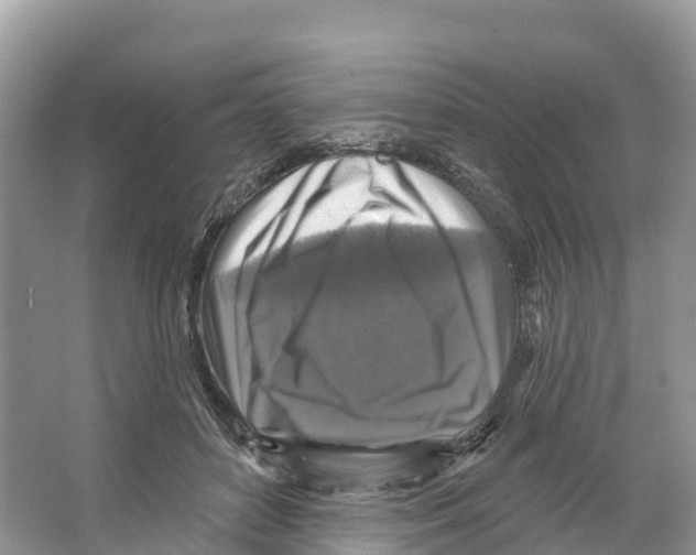 X0000065950504200603311749