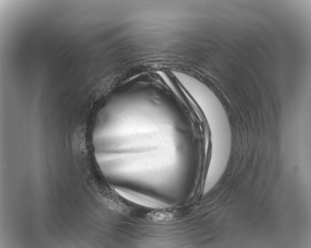 X0000065950512200603311749