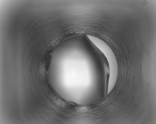 X0000065950513200603311749