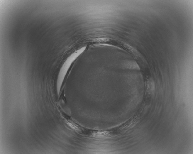 X0000065950517200603311749