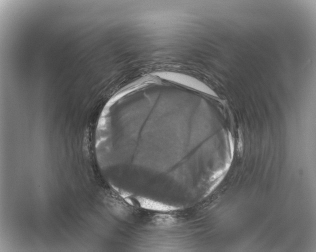 X0000065950519200603311749